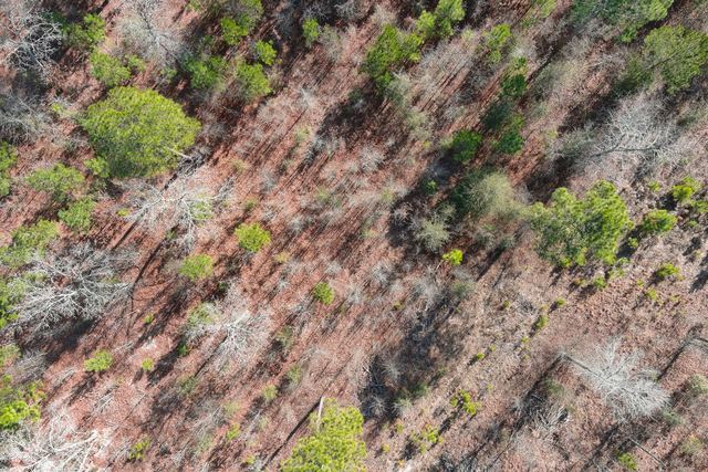Aerial Mapping & Orthomosaic - Ortho Map Images