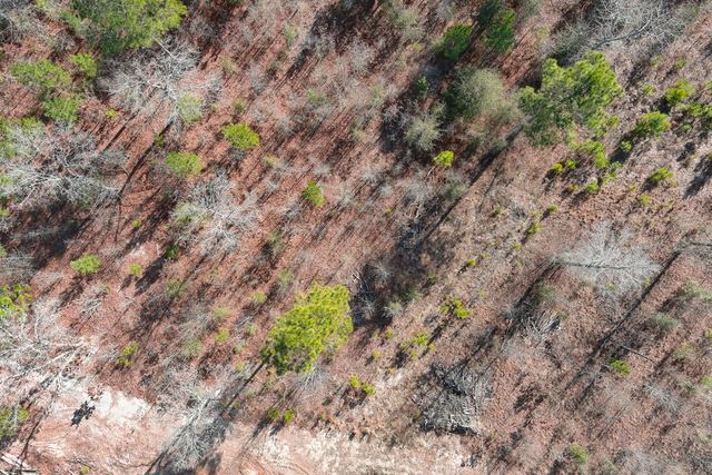 Aerial Mapping & Orthomosaic - Ortho Map Images